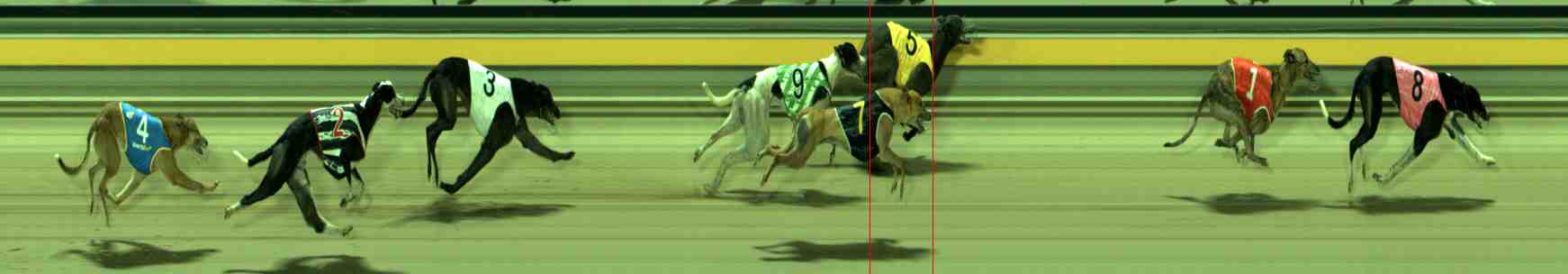 Photo finish for Sale Race 12