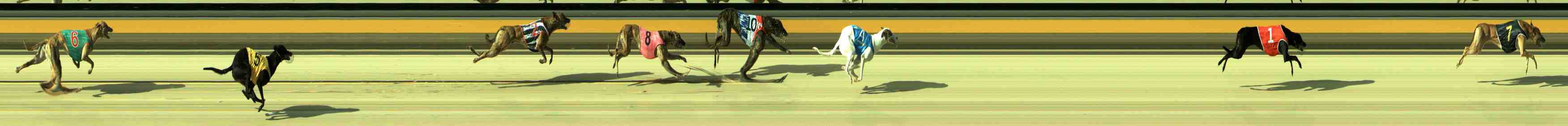 Photo finish for Sale Race 1