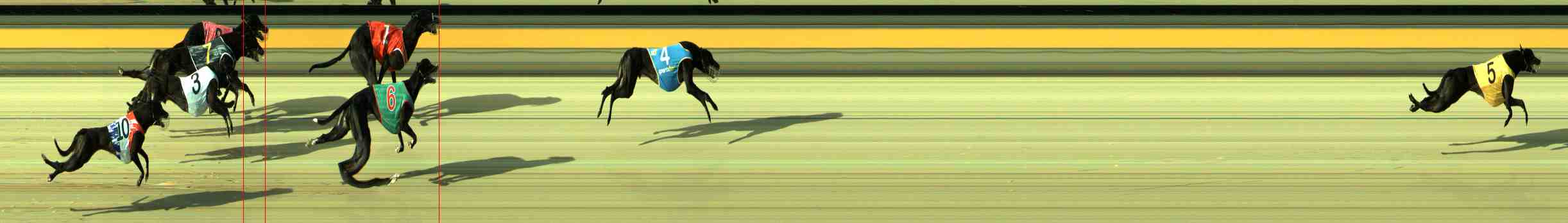 Photo finish for Sale Race 2