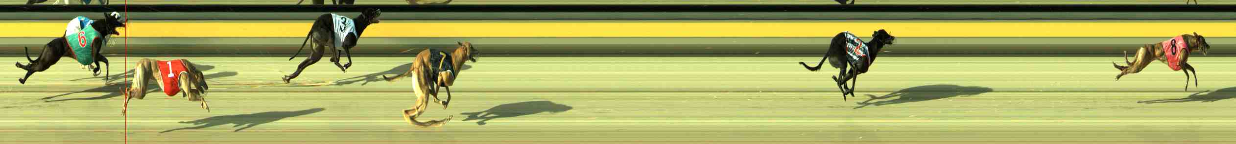 Photo finish for Sale Race 3