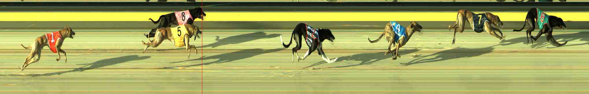Photo finish for Sale Race 4