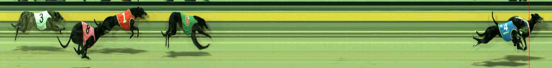 Photo finish for Sale Race 9