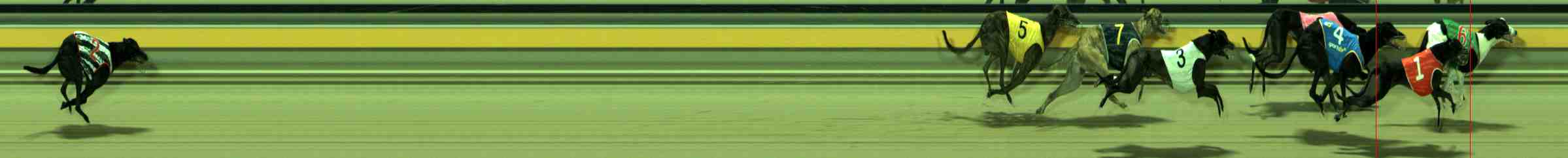 Photo finish for Sale Race 10