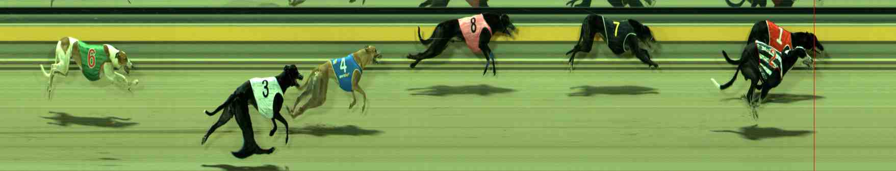 Photo finish for Sale Race 11