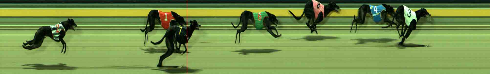 Photo finish for Sale Race 12