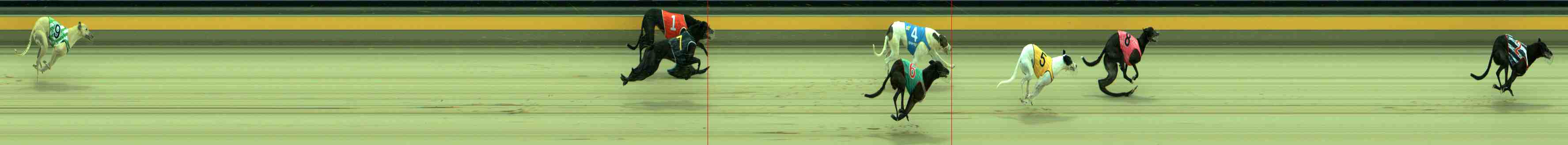 Photo finish for Sale Race 1