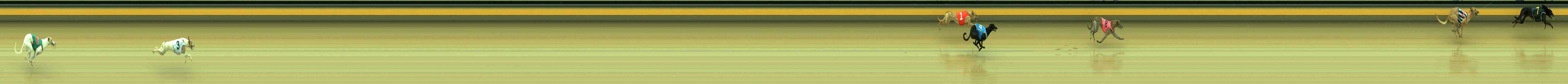 Photo finish for Sale Race 3