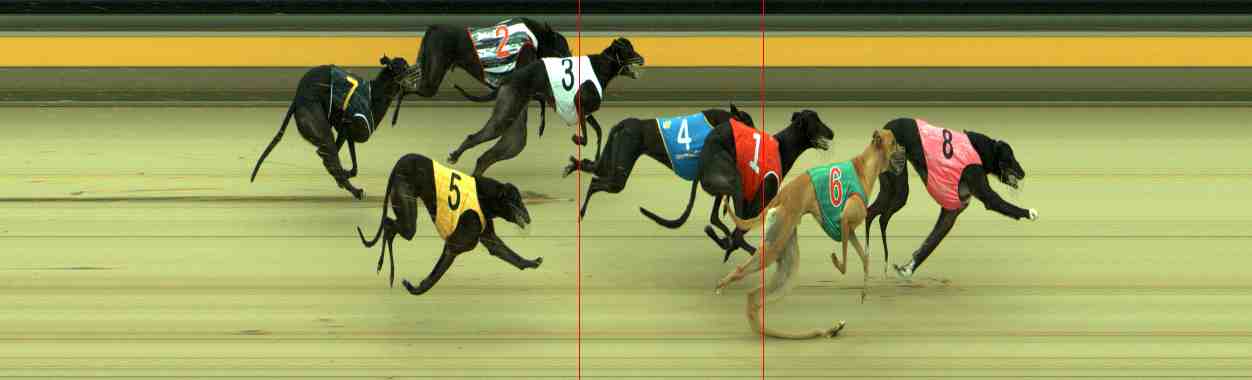 Photo finish for Sale Race 4