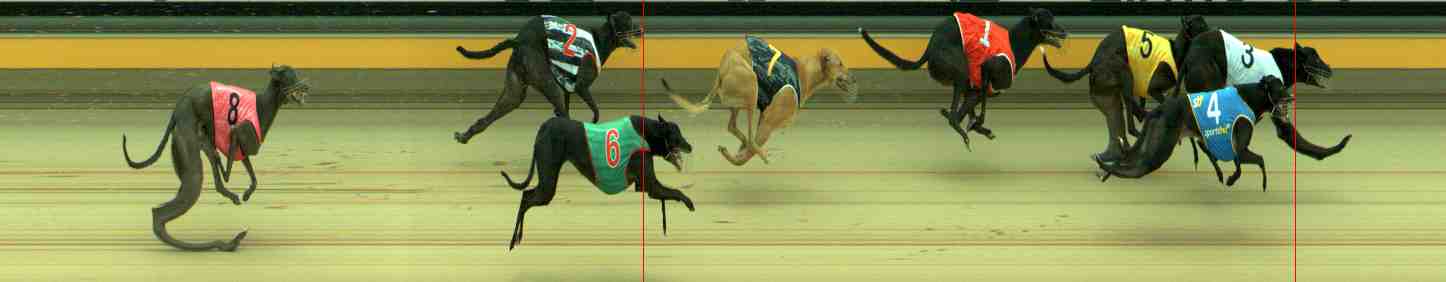 Photo finish for Sale Race 5