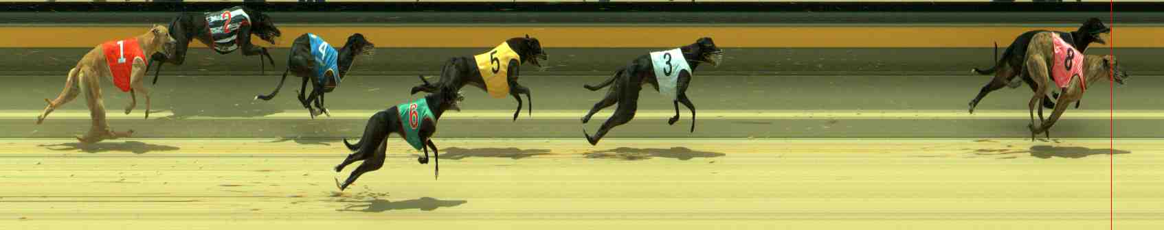 Photo finish for Sale Race 6