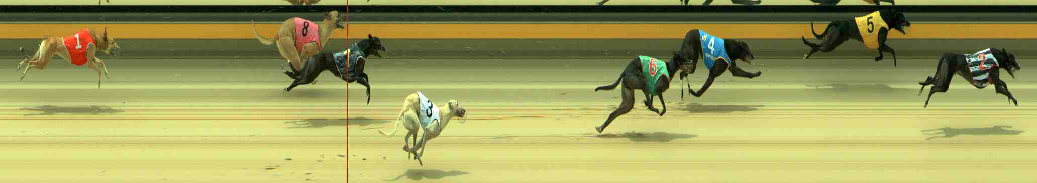 Photo finish for Sale Race 7