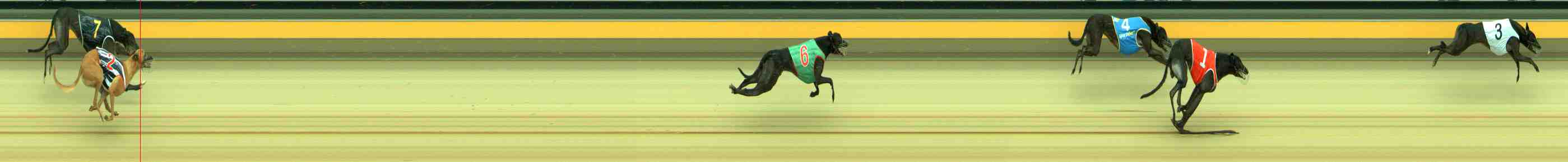 Photo finish for Sale Race 8