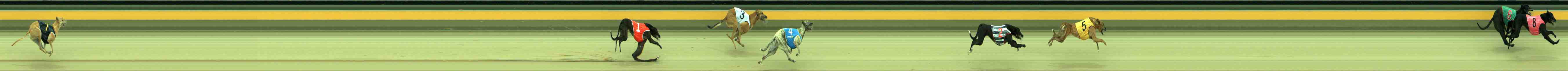 Photo finish for Sale Race 9