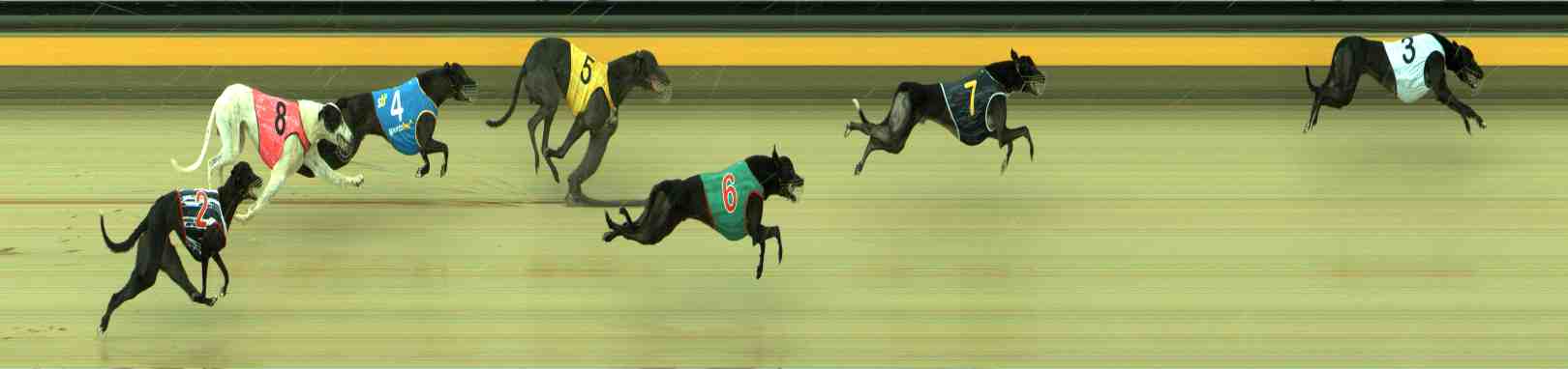 Photo finish for Sale Race 10