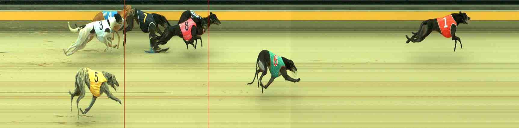 Photo finish for Sale Race 11