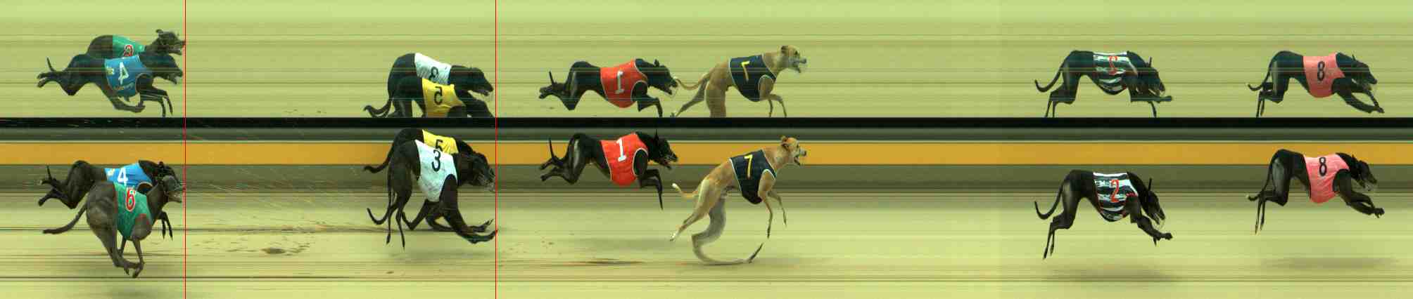Photo finish for Sale Race 12