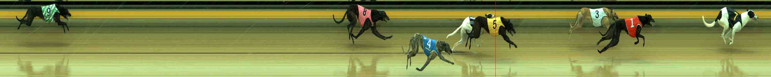 Photo finish for Sale Race 2