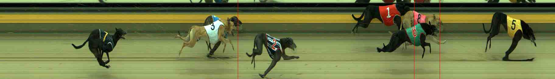 Photo finish for Sale Race 4