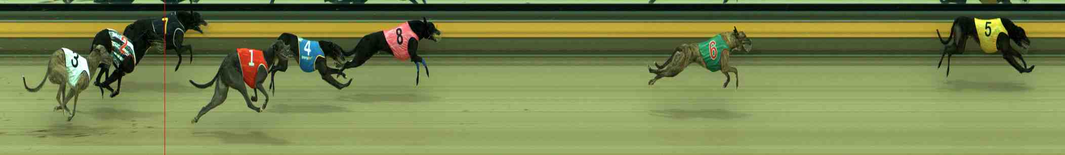 Photo finish for Sale Race 5