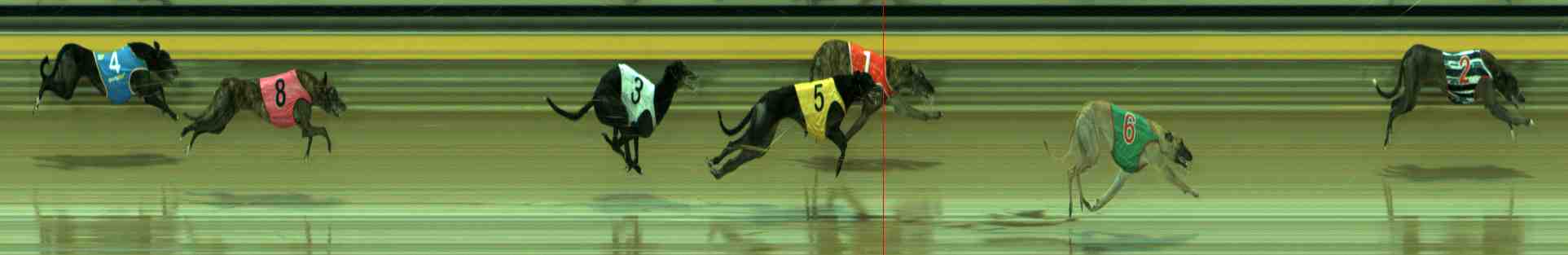 Photo finish for Sale Race 7