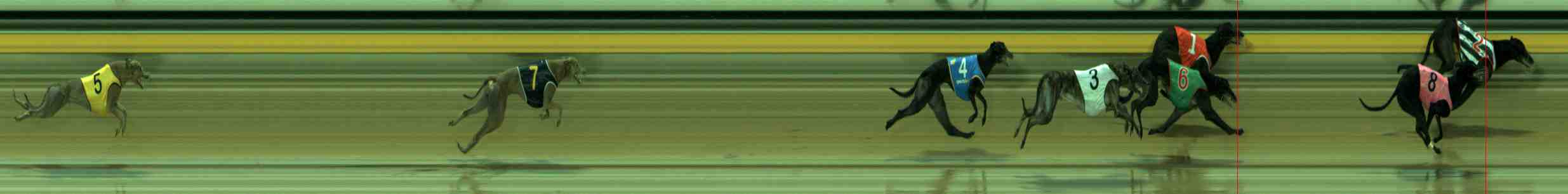 Photo finish for Sale Race 8