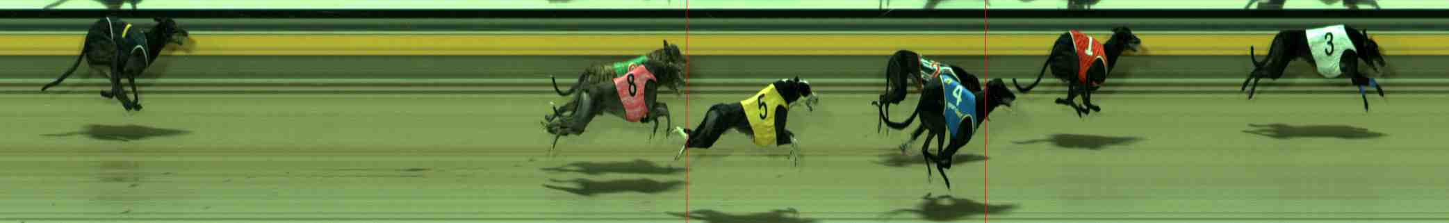 Photo finish for Sale Race 9