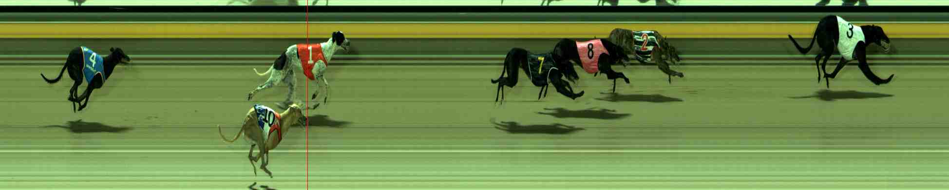 Photo finish for Sale Race 10