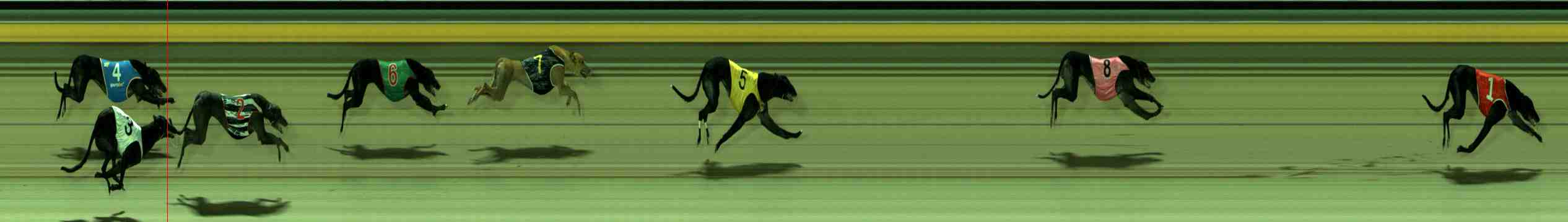 Photo finish for Sale Race 11