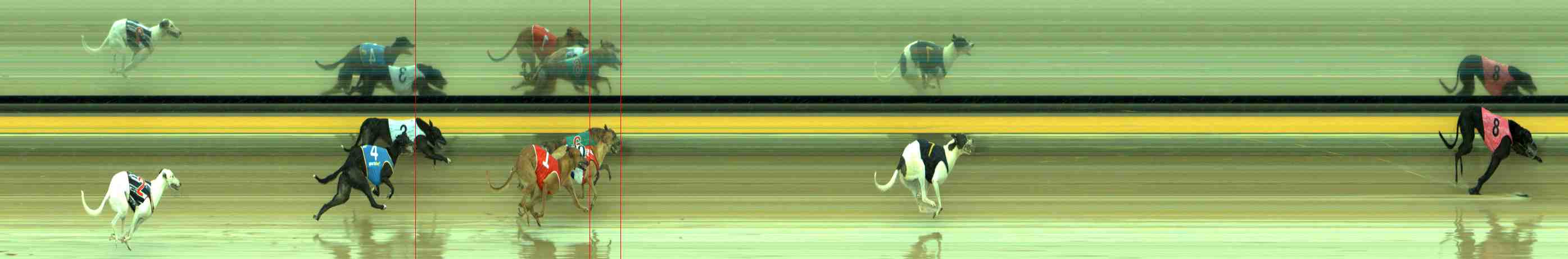 Photo finish for Sale Race 1