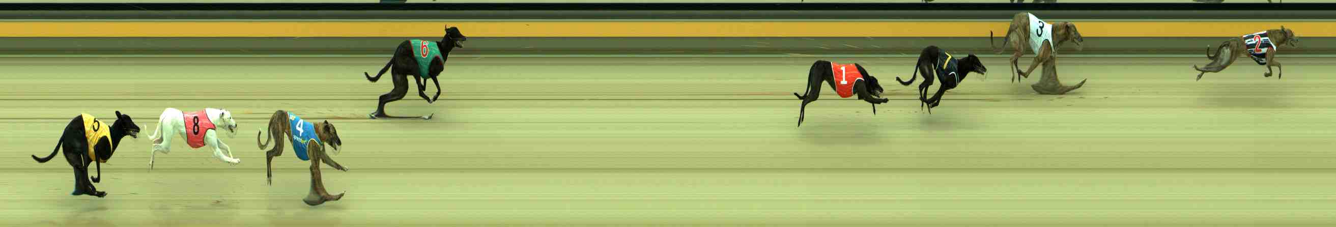 Photo finish for Sale Race 1