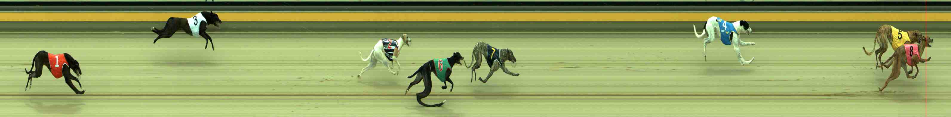 Photo finish for Sale Race 2