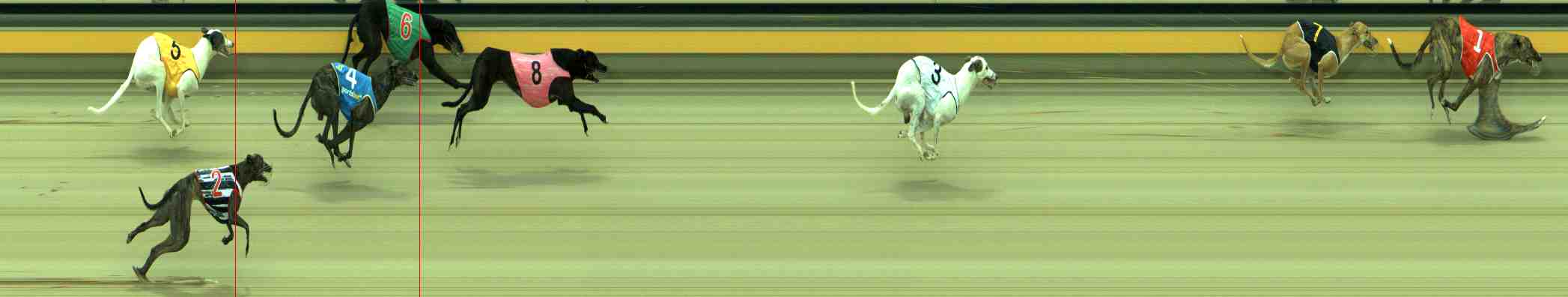 Photo finish for Sale Race 4