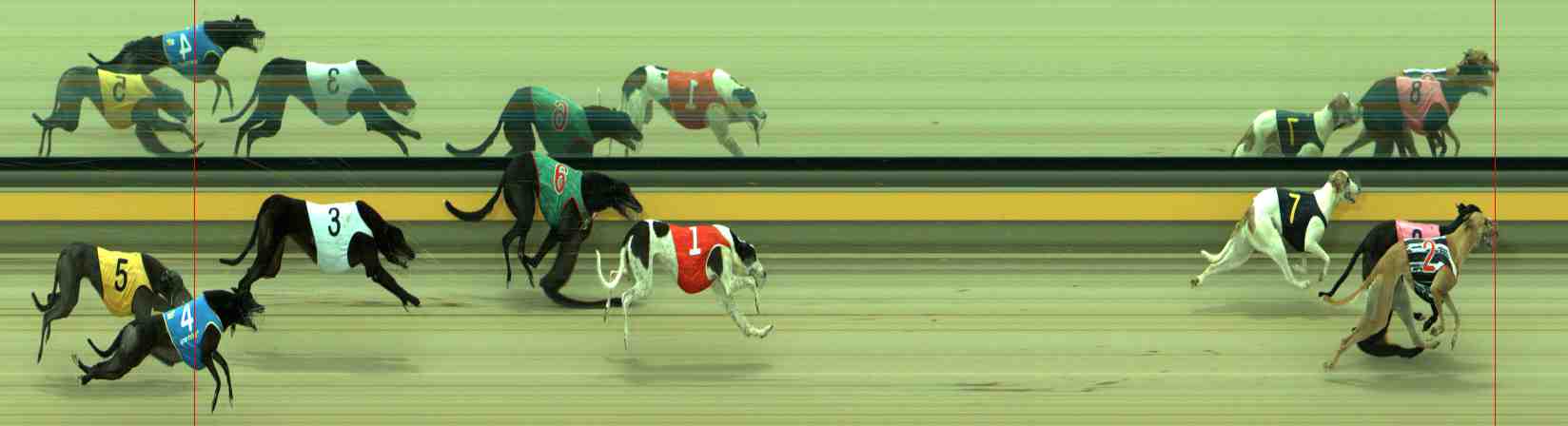 Photo finish for Sale Race 5