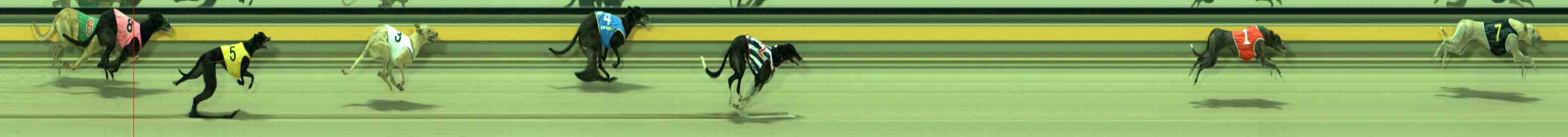 Photo finish for Sale Race 8