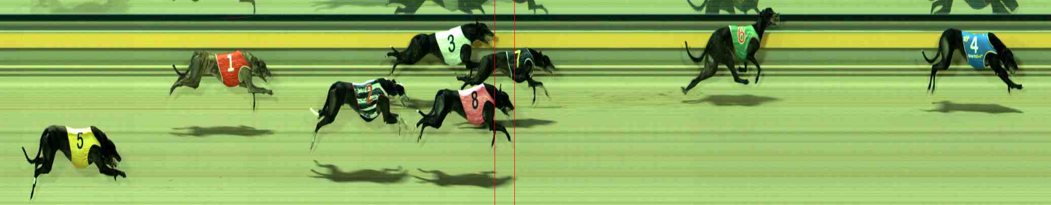 Photo finish for Sale Race 10