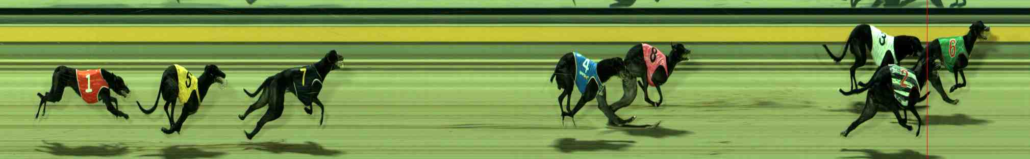 Photo finish for Sale Race 11