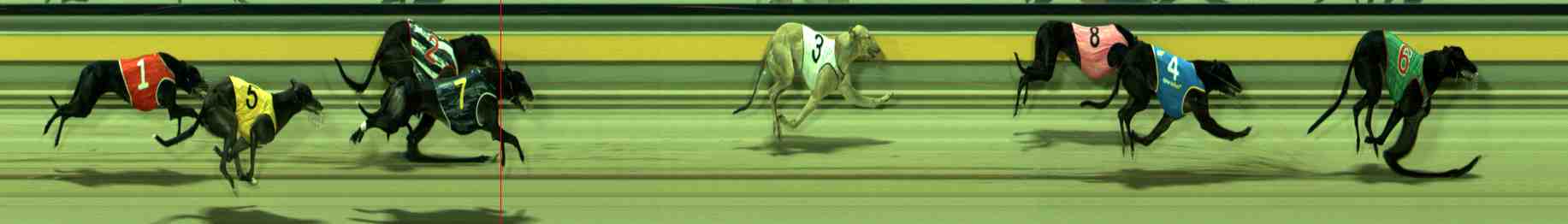Photo finish for Sale Race 12