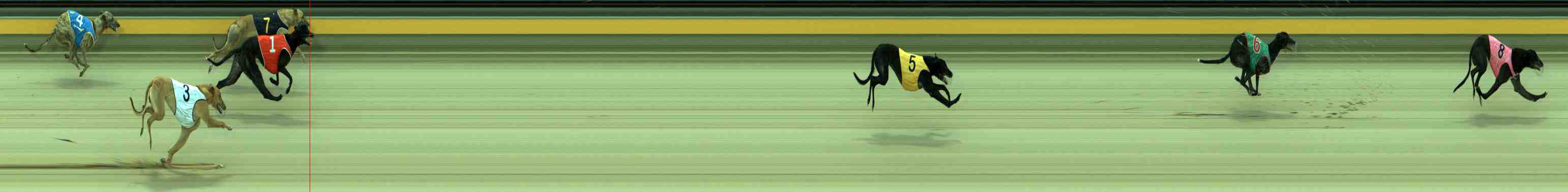 Photo finish for Sale Race 1