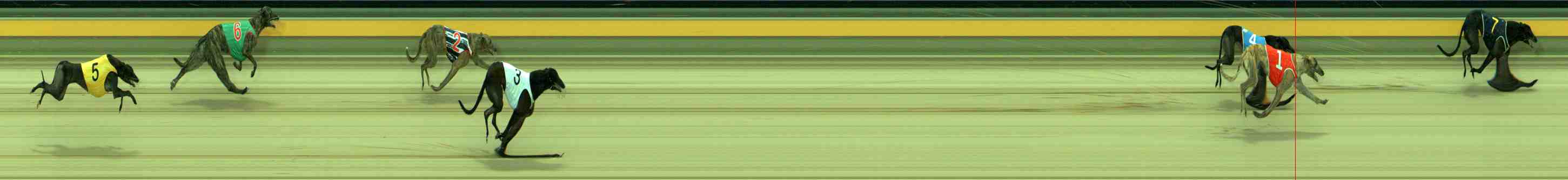 Photo finish for Sale Race 2