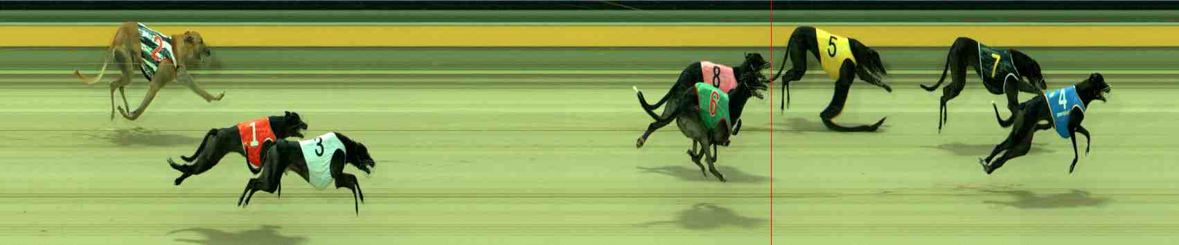 Photo finish for Sale Race 3