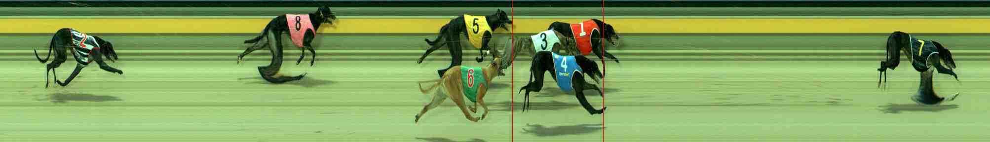 Photo finish for Sale Race 4