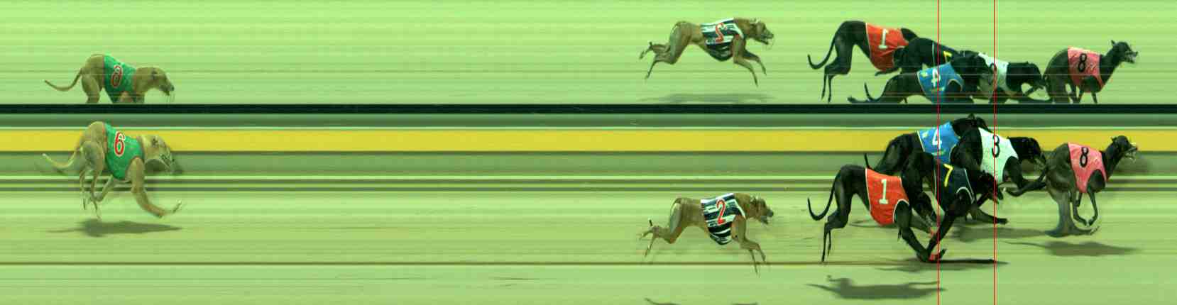 Photo finish for Sale Race 5