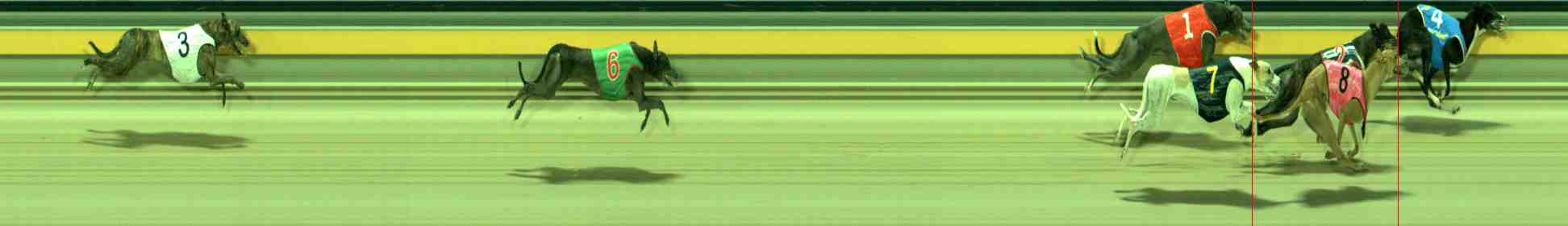Photo finish for Sale Race 6