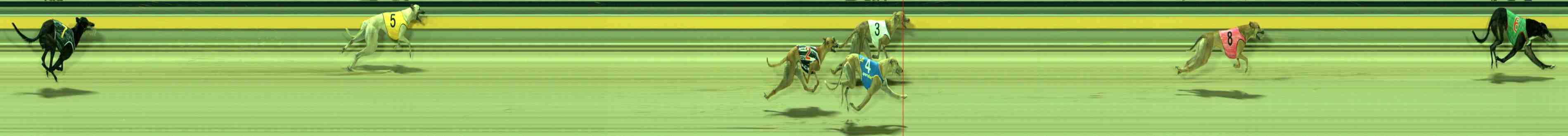 Photo finish for Sale Race 7