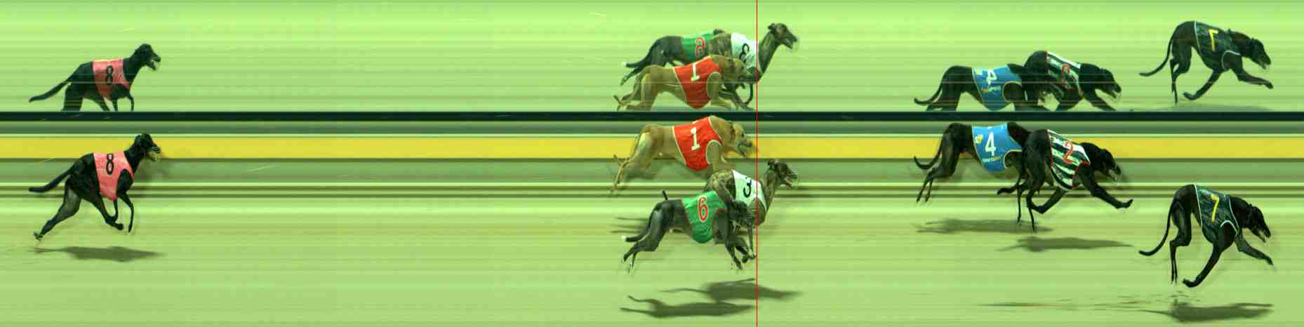 Photo finish for Sale Race 8