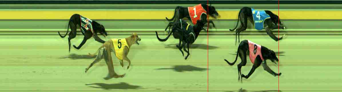 Photo finish for Sale Race 9