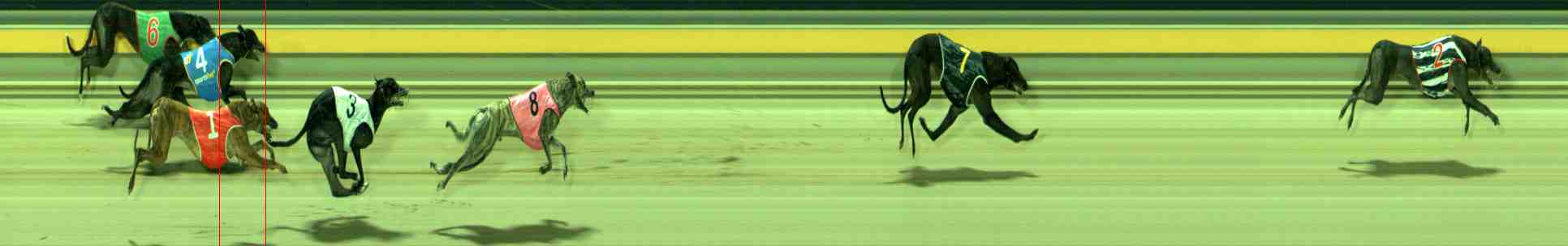 Photo finish for Sale Race 10