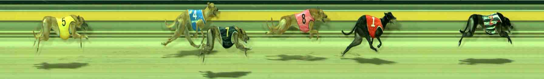 Photo finish for Sale Race 11