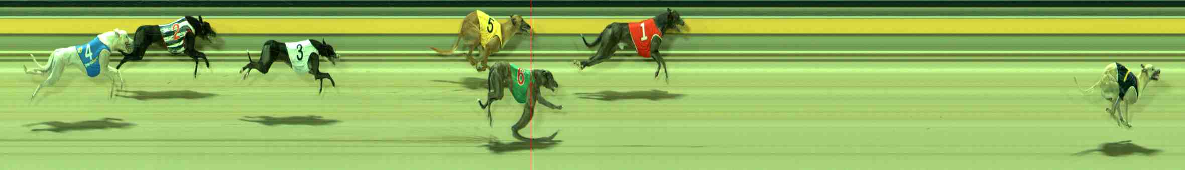 Photo finish for Sale Race 12