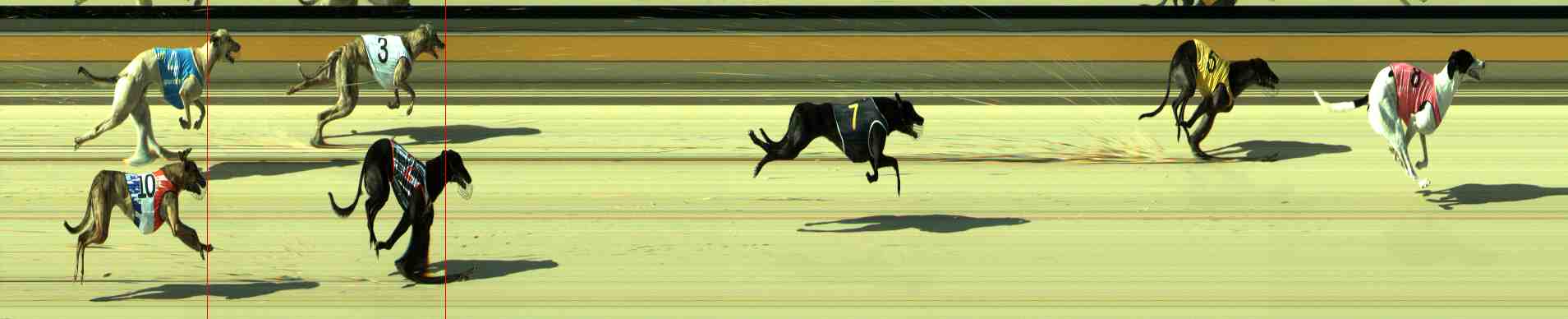Photo finish for Sale Race 1